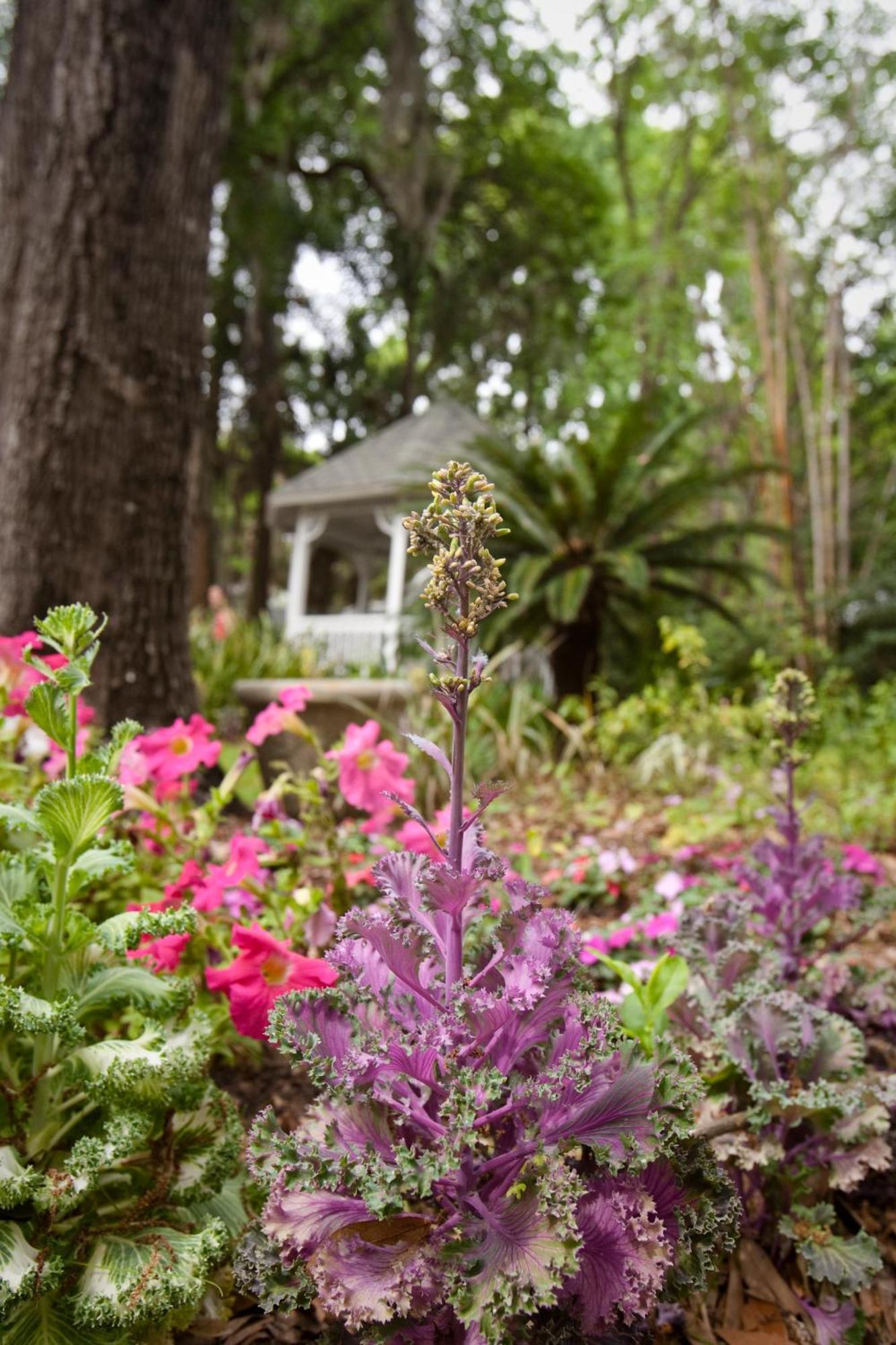 Sweetwater Branch Inn Gainesville Dış mekan fotoğraf