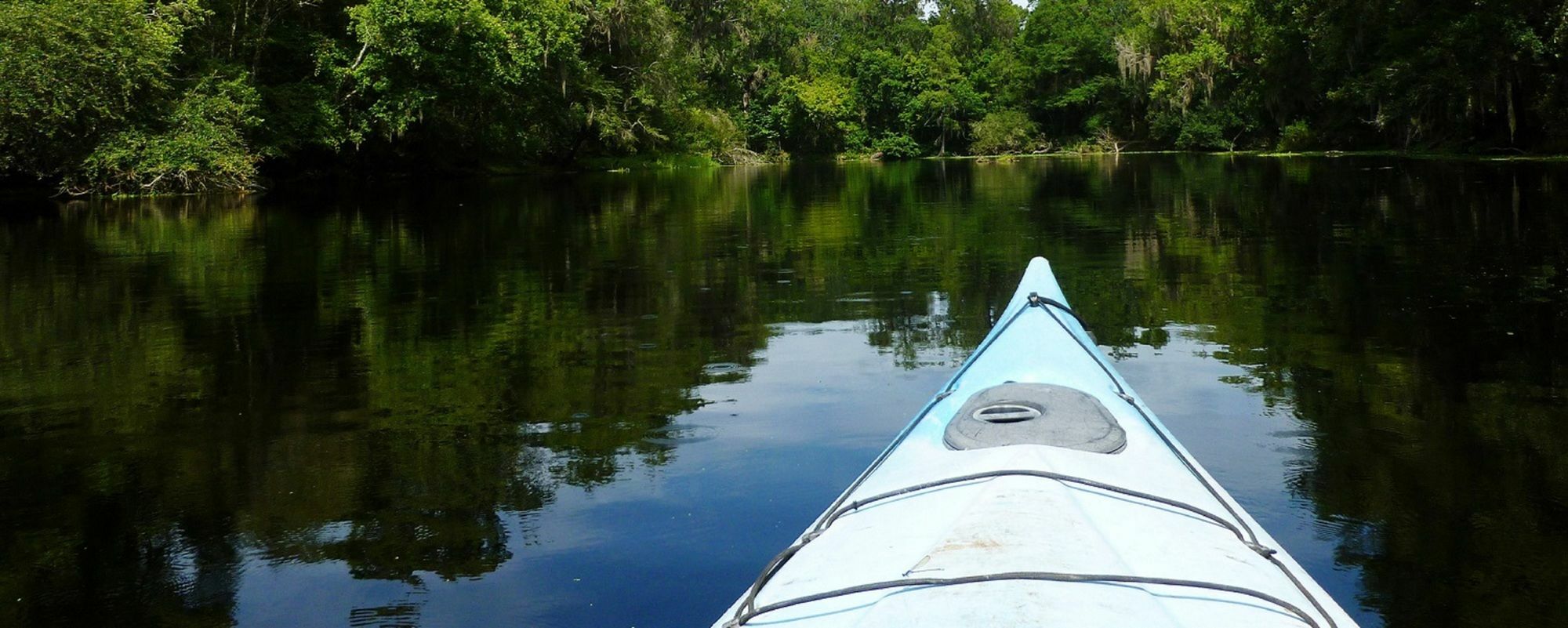 Sweetwater Branch Inn Gainesville Dış mekan fotoğraf